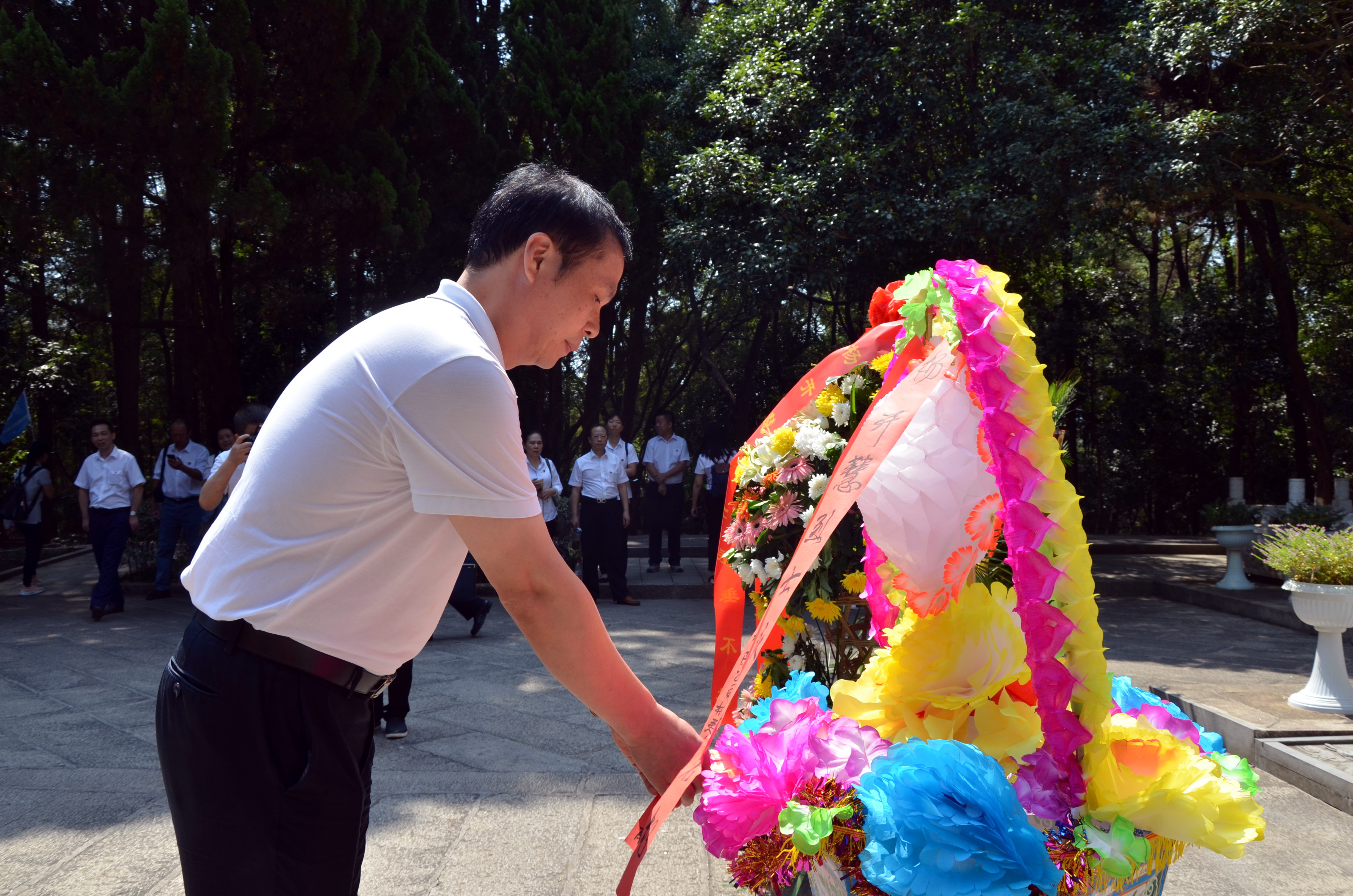 香港和宝典宝典资料大全